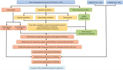 Genome instability-derived genes as a novel prognostic signature for lung adenocarcinoma